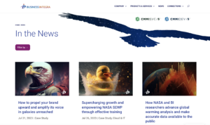 BI News screenshot of website (blog)